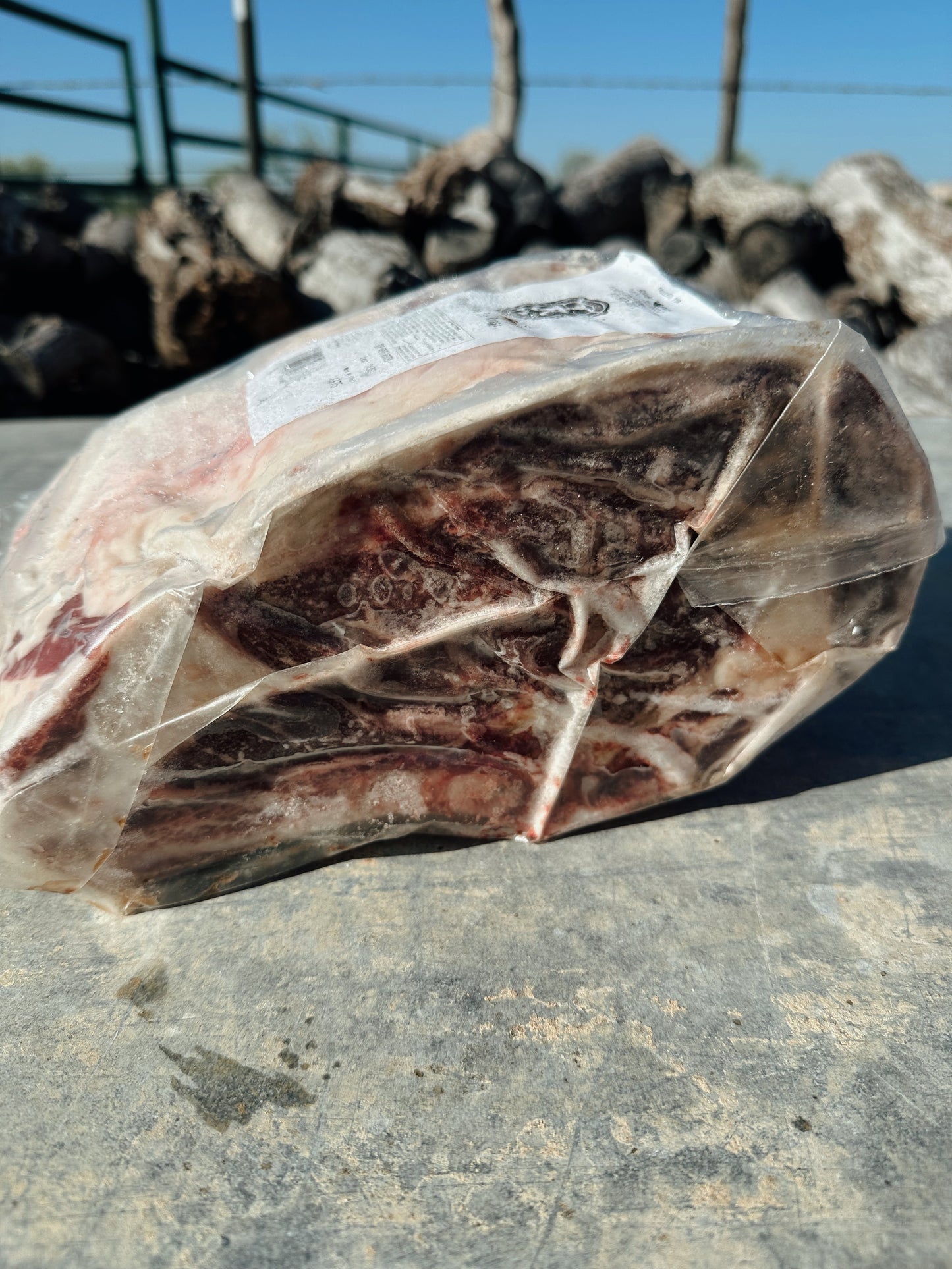 Prime Rib